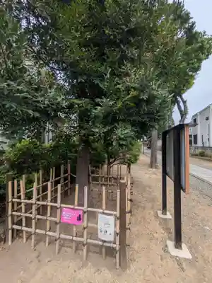 志茂熊野神社(東京都)