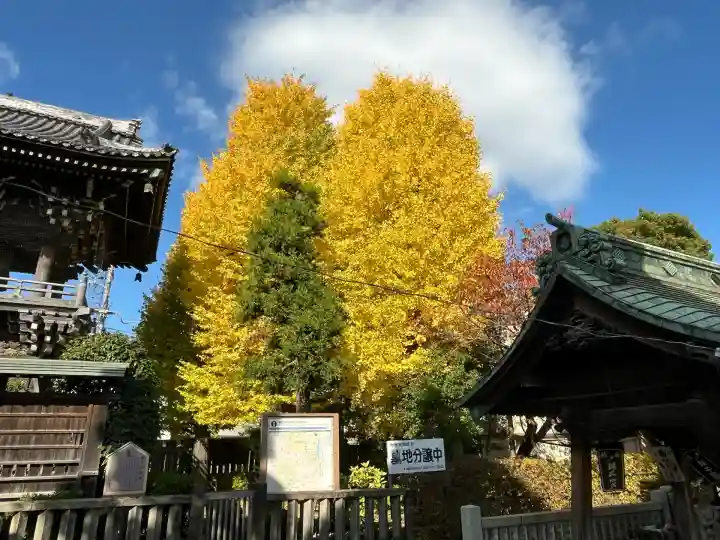 題経寺(柴又帝釈天)(東京都)
