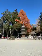 豊川稲荷(愛知県)