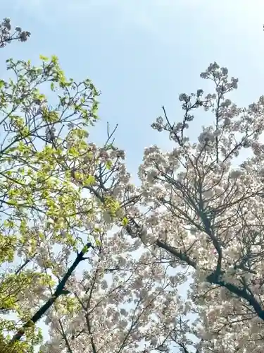 蚊里田八幡宮(長野県)