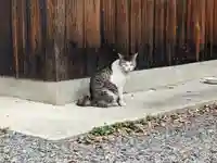 八幡社(柏井町)の動物