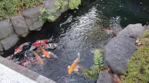 浅草寺(東京都)