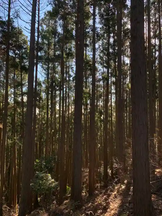 三峰神社の自然