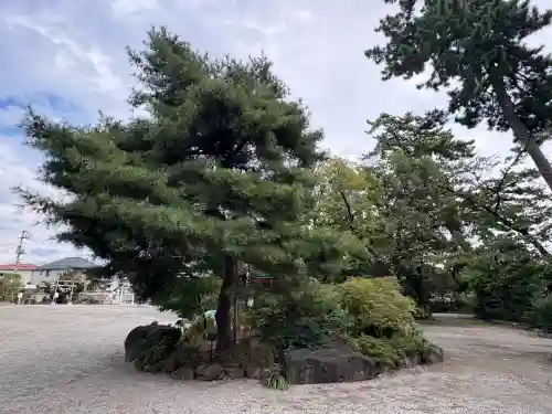 葛飾八幡宮(千葉県)