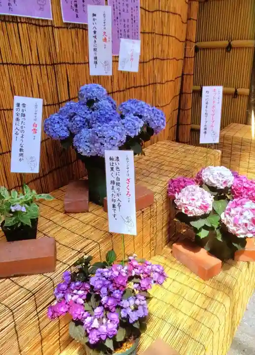 十番稲荷神社(東京都)