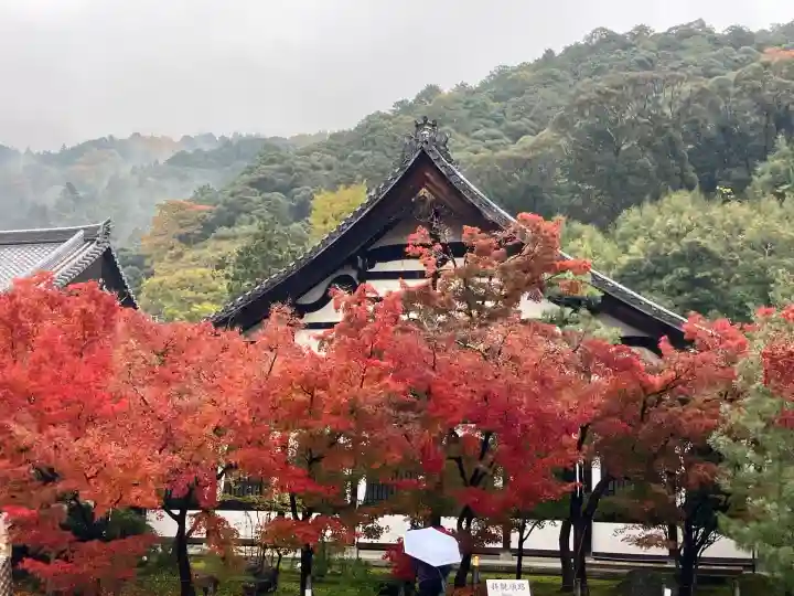 禅林寺(永観堂)(京都府)