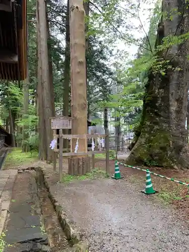 諏訪大社(長野県)