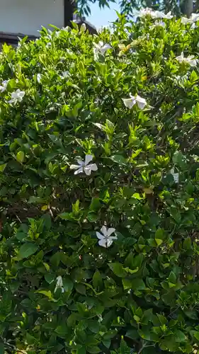 東林院(京都府)