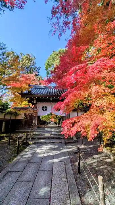 光明寺(粟生光明寺)(京都府)
