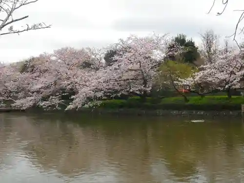 鶴岡八幡宮の庭園