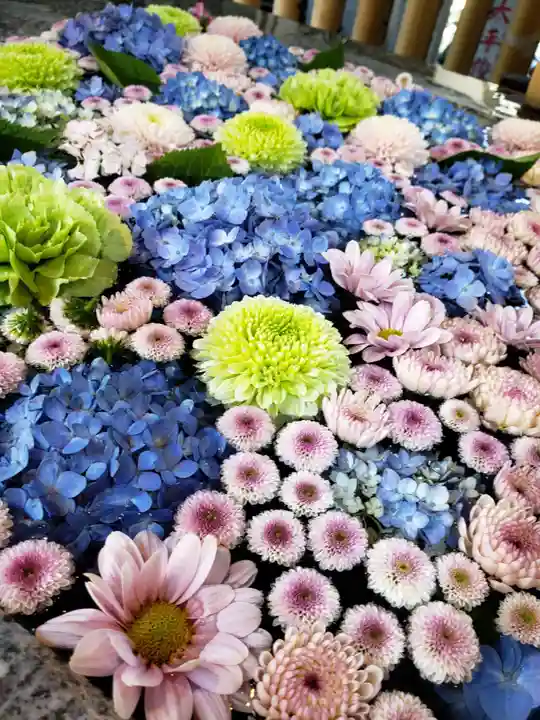 高円寺氷川神社(東京都)