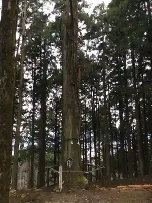 身延山奥之院思親閣(山梨県)