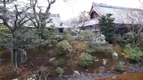 相国寺（相国承天禅寺）(京都府)