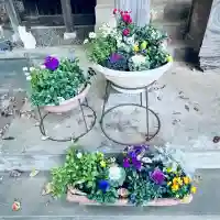 馬場氷川神社(埼玉県)
