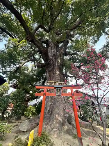 法楽寺(大阪府)