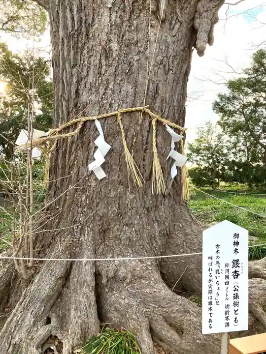 白子神社(千葉県)
