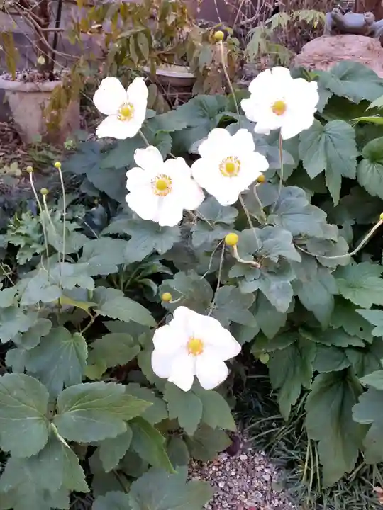 智福院(宮城県)