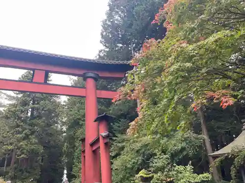 北口本宮冨士浅間神社(山梨県)