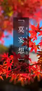 浄居寺(山梨県)(2024年12月05日(木) 20時24分34秒投稿)