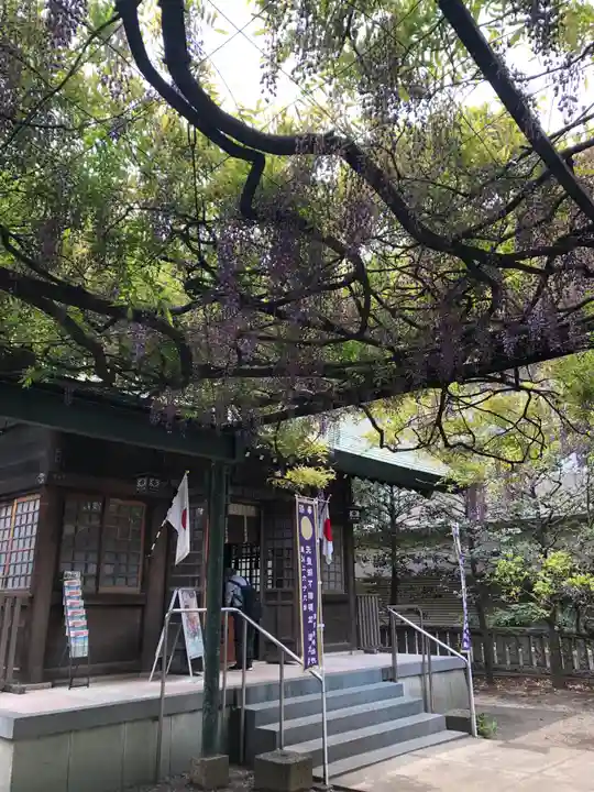 國領神社の本殿・本堂