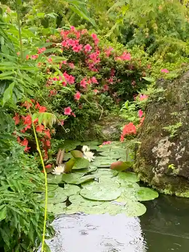 光徳寺の庭園