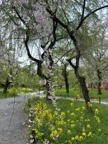 平野神社(京都府)