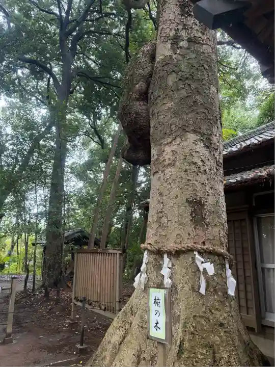 氷川女體神社(埼玉県)