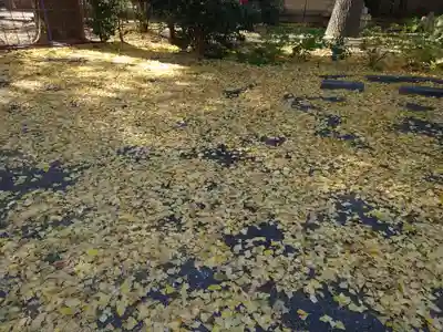 戸部杉山神社(神奈川県)