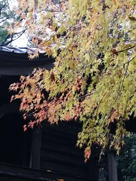 磯部稲村神社の自然