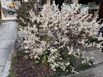 持明院(大阪府)