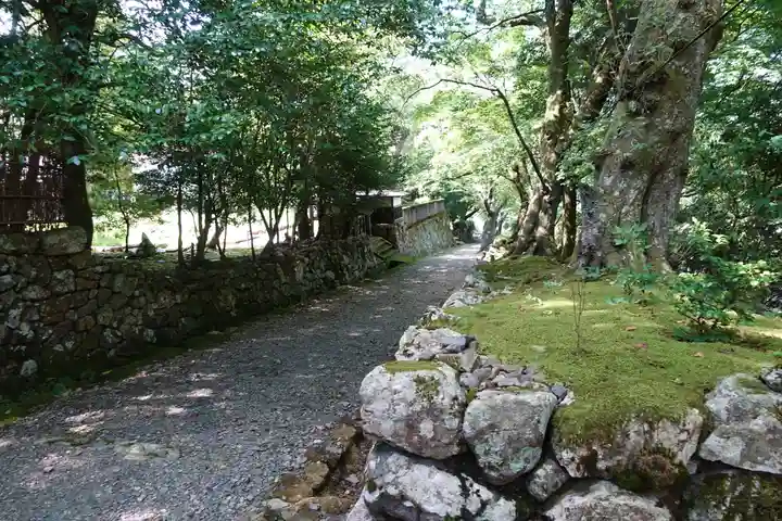 若狭神宮寺の自然