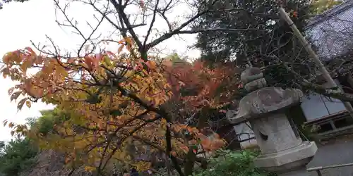 平野神社(京都府)