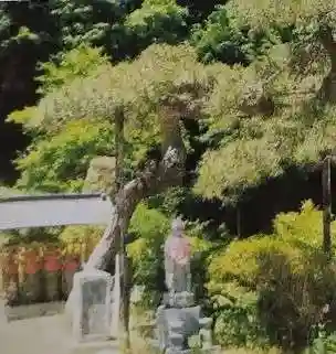 梅木寺(福島県)