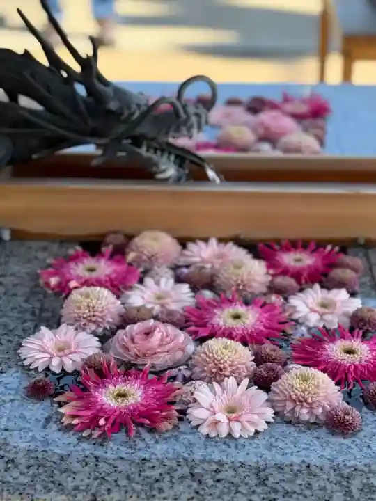 川越八幡宮の{uncategorized: "未分類", other: "その他", undefined: "問題あり", building: "その他建物", grave: "お墓", sacred_gate: "鳥居", guardian: "狛犬", statue: "像", buddha: "仏像", history: "歴史", nature: "自然", garden: "庭園", animal: "動物", pagoda: "塔", temizu: "手水舎", mountain_gate: "山門・神門", sanctuary: "本殿・本堂", subordinate: "末社・摂社", art: "芸術", scenery: "景色", jizo: "地蔵", ema: "絵馬", goshuin: "御朱印", omikuji: "おみくじ", items: "授与品その他", amulet: "お守り", goshuincho: "御朱印帳", eats: "食事", festival: "お祭り", votive_dance: "神楽", shichigosan: "七五三参", wedding: "結婚式", experience: "体験その他", initially: "初詣", around: "周辺", anti_infection: "感染症対策"}