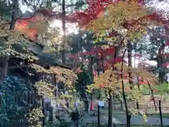 本土寺(千葉県)