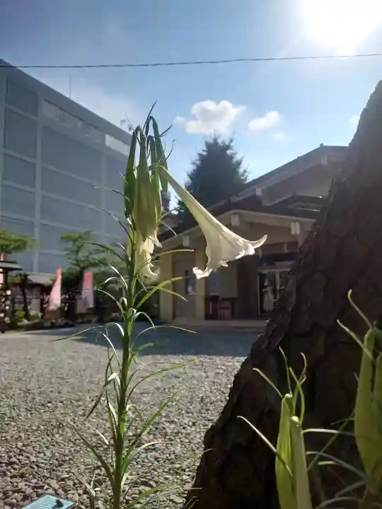 磐井神社(東京都)