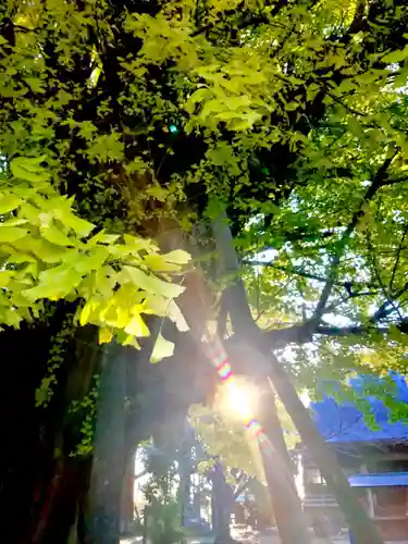 西蓮寺(茨城県)