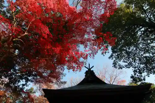 國祖神社の景色