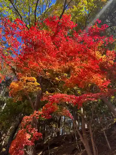 新倉富士浅間神社の自然
