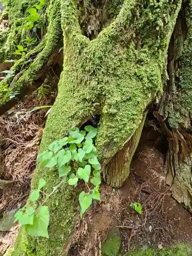 最乗寺（道了尊）(神奈川県)
