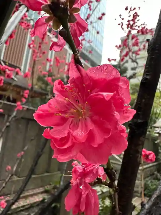 福徳神社(芽吹稲荷)の自然