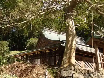 住吉神社の本殿・本堂