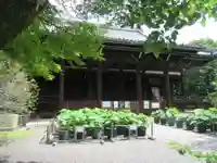 立本寺の本殿・本堂