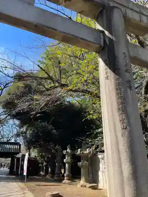 上野東照宮の鳥居