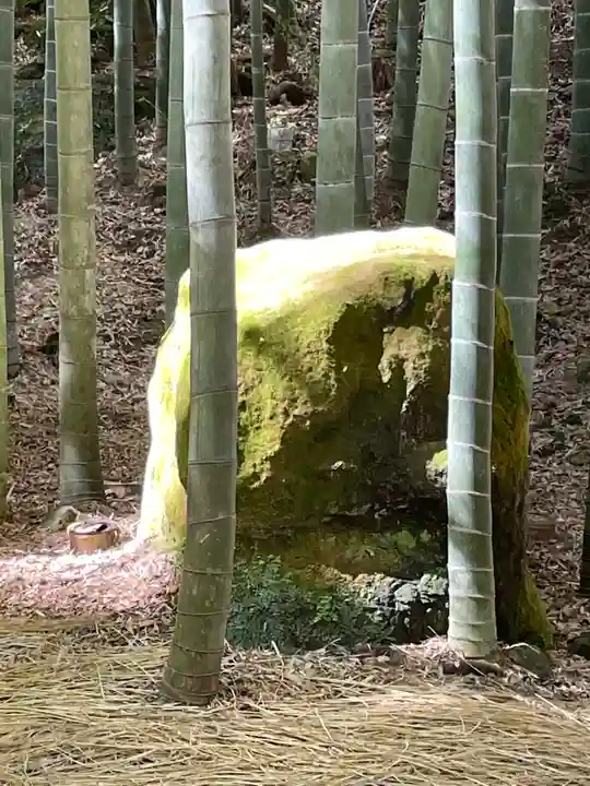 報国寺(神奈川県)