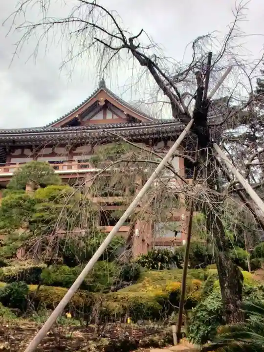 東長谷寺 薬王院(東京都)