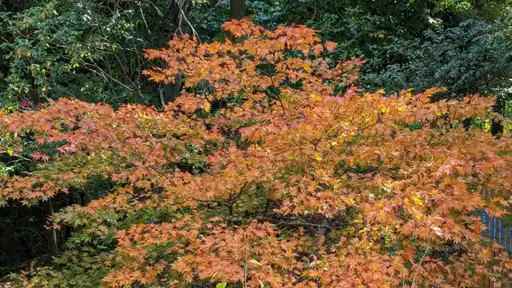 本圀寺(京都府)