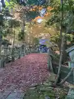 五所駒瀧神社(茨城県)
