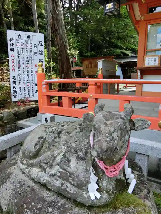 長岡天満宮の狛犬