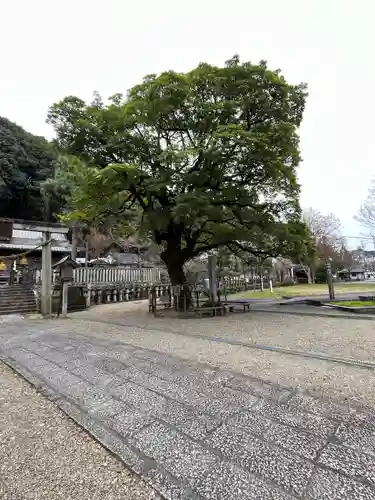 岐阜信長神社（橿森神社境内摂社）(岐阜県)